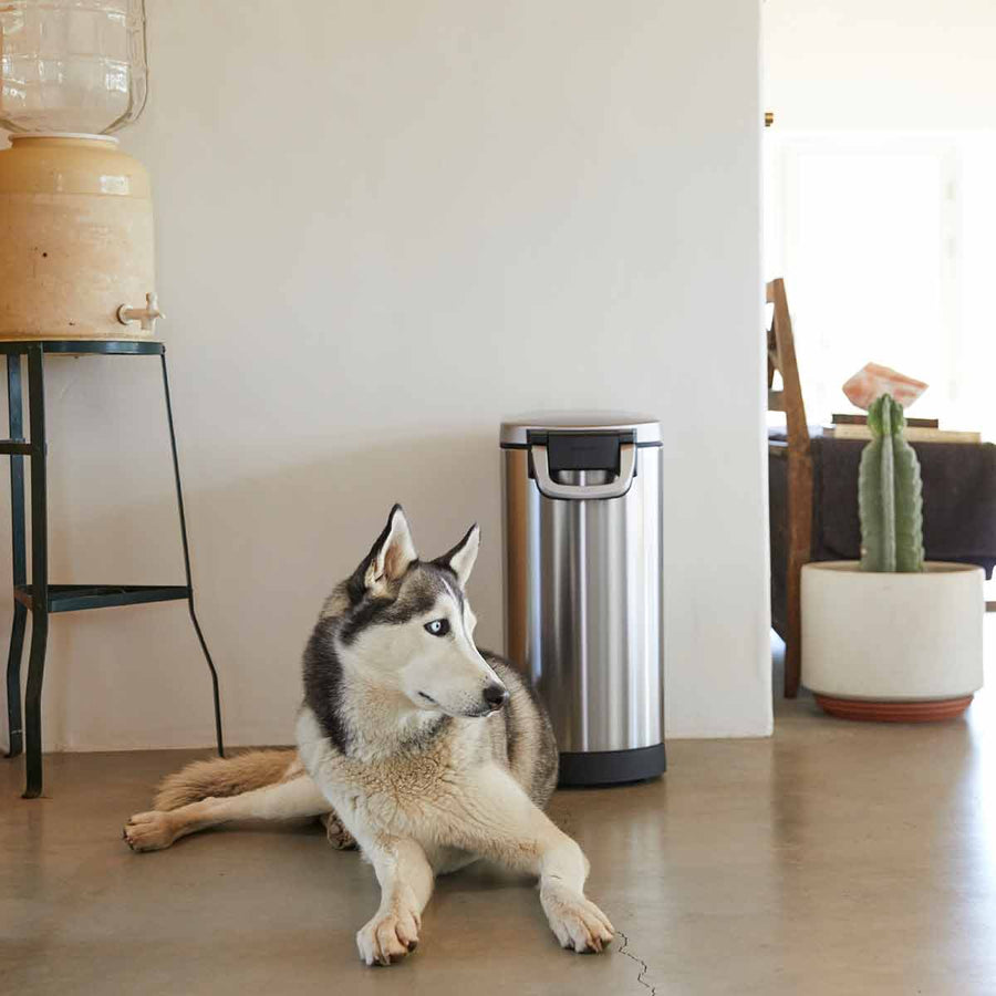 large pet food bin - lifestyle dog sitting by can